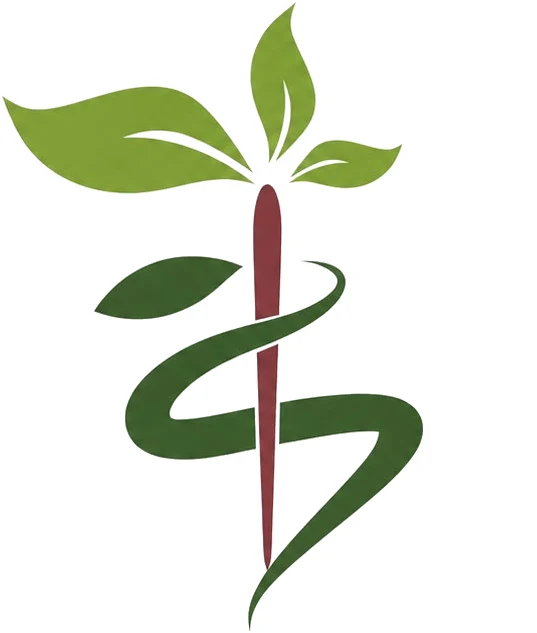 Logo Dr. Mahmoud Delonge